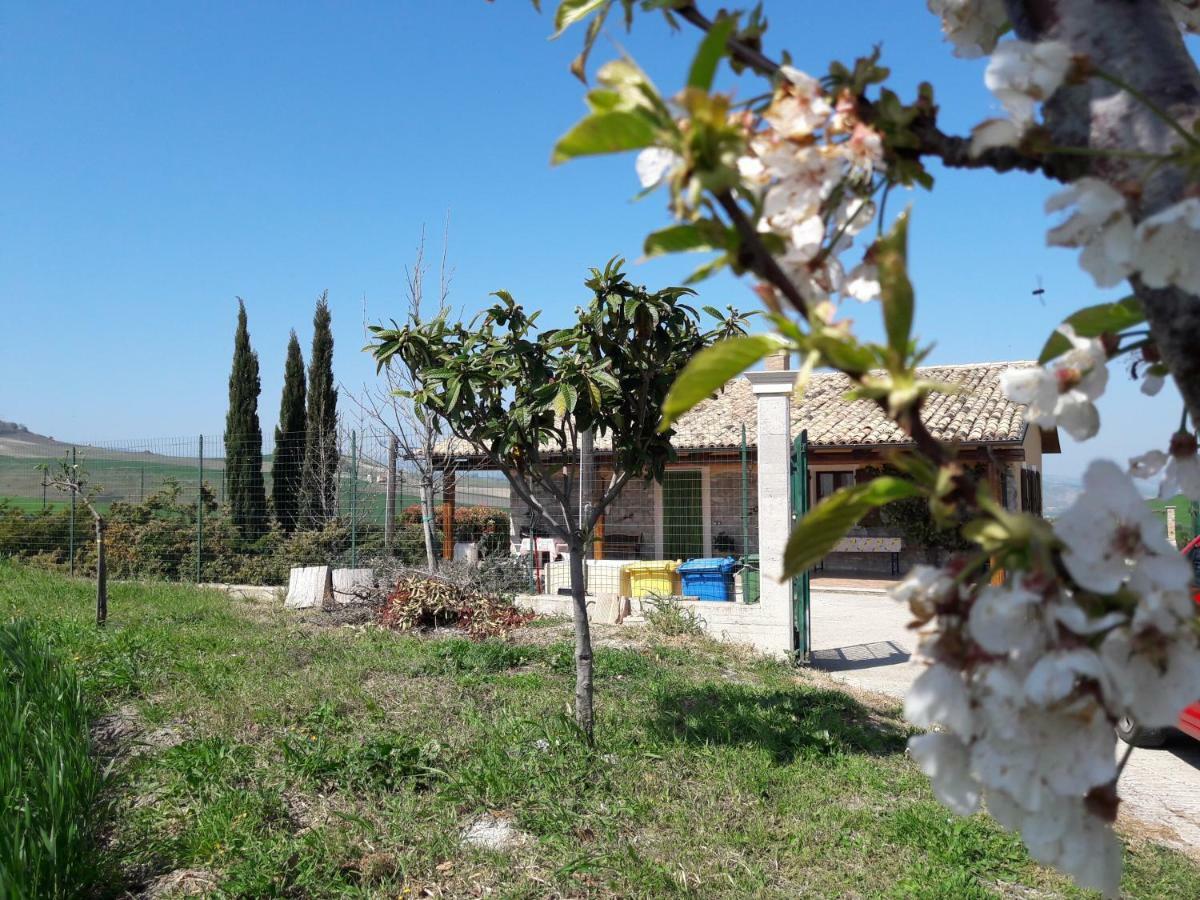 Villa Lemme Montenero di Bisaccia Bagian luar foto